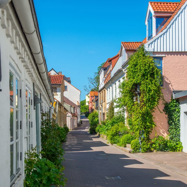 Der teils grün bewachsene Kapitänsweg im Kapitänsviertel Flensburgs unter blauem Himmel.